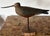 Mid-Century Modern Vintage Hand Carved and Painted Wooden Shorebird, Folk Art For Sale - Image 3 of 9