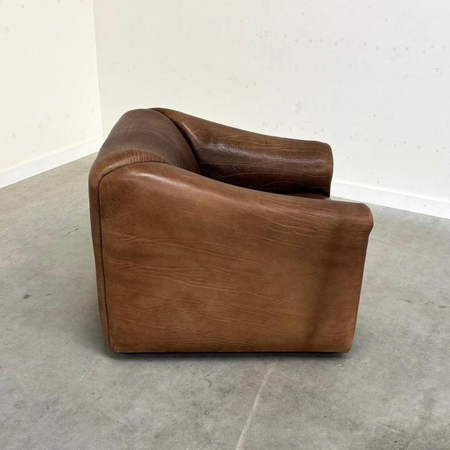 DS47 Lounge Chair from de Sede, Switzerland, 1970s For Sale - Image 10 of 13