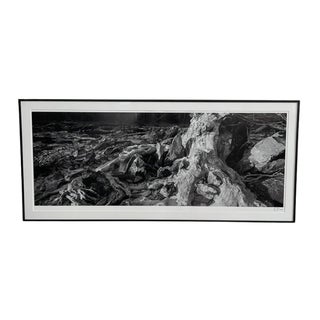 Original Large Print Photograph by Durham, Nc Artist Elliot Blumberg For Sale