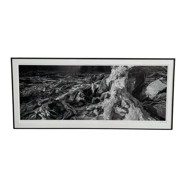 Original Large Print Photograph by Durham, Nc Artist Elliot Blumberg For Sale