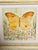 Abstract Modrrn Mini Painting of Butterfly by Elia Framed For Sale - Image 4 of 4