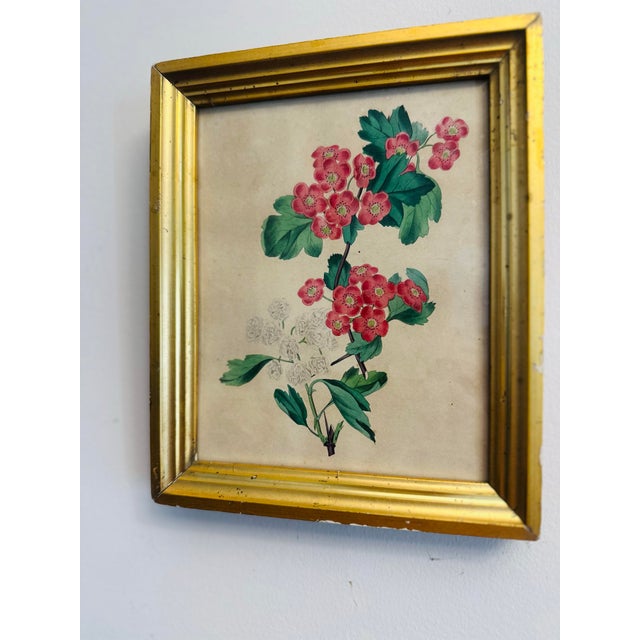 Mid-Century Modern Antique Print in Antique Gold Gilt Frame For Sale - Image 3 of 5