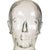 Heavy Glass Head Display Mannequin for Headphones, 1960s For Sale - Image 6 of 16