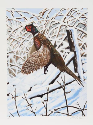 Pheasant in Flight II, Allen Friedman Lithograph