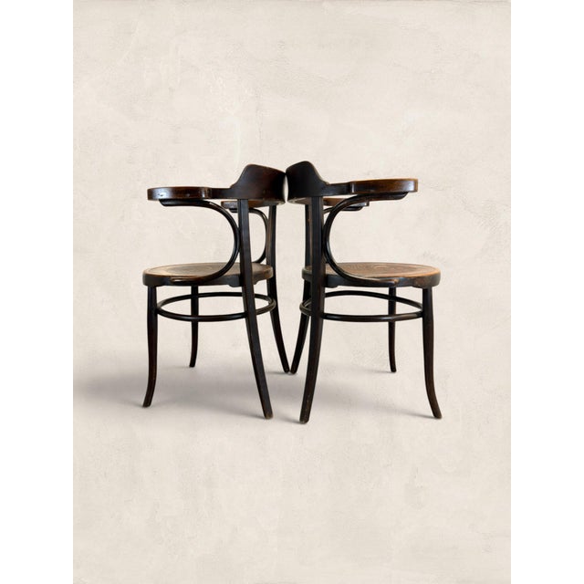 Antique Pair of English Art Nouveau Bentwood Armchairs For Sale - Image 9 of 10