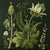 This fine art print reproduces a beautifully detailed 19th-century botanical illustration depicting an elegant arrangement...