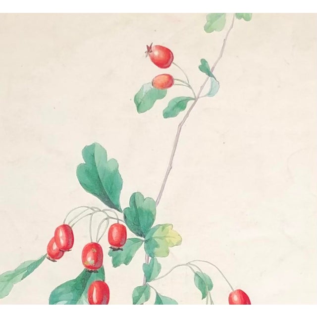 Juliette Calame, Bourgeons, Watercolor & Crayon on Paper For Sale - Image 3 of 6