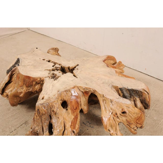 Tropical Teak Root Hardwood Coffee Table For Sale - Image 9 of 12