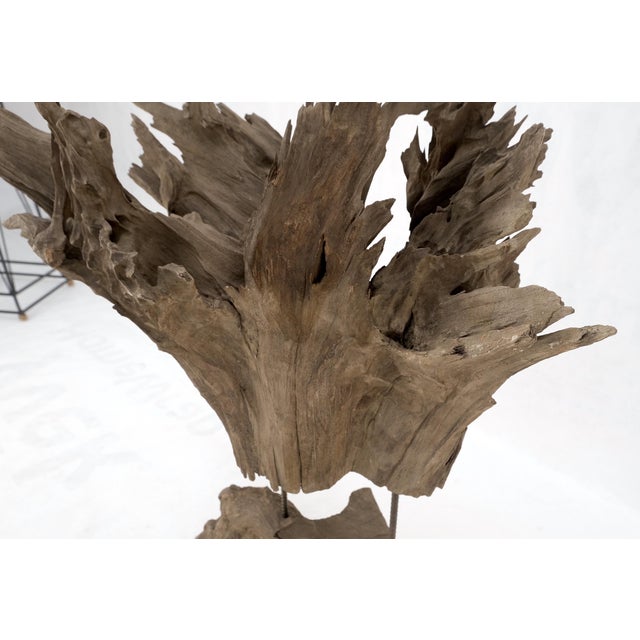Arts & Crafts Large Mid-Century Modern Abstract Driftwood Floating Suspended Sculpture For Sale - Image 3 of 12