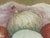 Light Pink Vintage Oil Paintings signed “Dot Pressler.” – a Pair Onion Still Lifes With Beautifully Dry Matte Surface & Pronounced Impasto For Sale - Image 8 of 12
