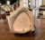 19th Century French Barbotine Pig Pitcher in the Style of Onnaing For Sale - Image 9 of 11