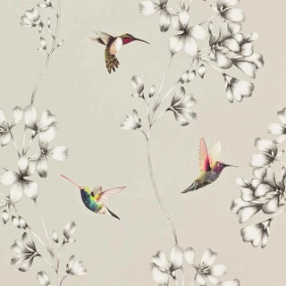 Harlequin Amazilia Wallpaper in Silver For Sale