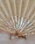 Gold Antique European Embroidered Floral Fan with Sea Snail Shell Sticks, 1890 For Sale - Image 8 of 11