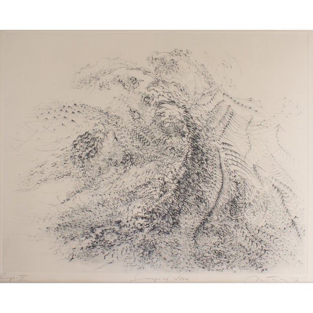 Printmaking Materials 1972 “Surging Wave” Abstract Etching by Gabor Peterdi For Sale - Image 7 of 9