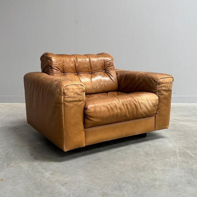 DS40 Lounge Chair by Robert Haussmann for De Sede, 1970s For Sale - Image 4 of 14