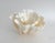 Shell Natural White Poca Coral Specimen For Sale - Image 7 of 8