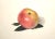 An exquisite tromp l'oeil still life painting of an apple rendered in water colors with fine, realistic detail that it...