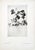 A rare and beautifully curated set of twelve original botanical plates from the highly sought-after first edition of...