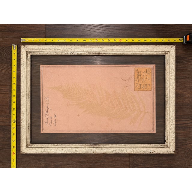 French Country Restoration Hardware Framed Botanical Pressings, Set of 2 For Sale - Image 3 of 8