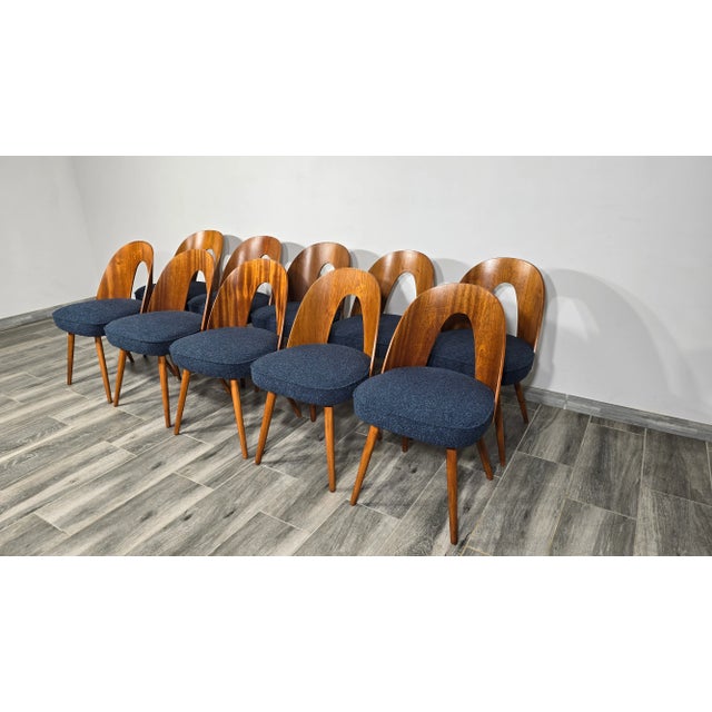 Dining Chairs by Antonin Suman, 1960s, Set of 10 For Sale - Image 3 of 10