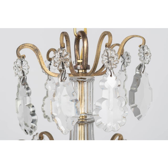 Louis XV Style French Crystal Chandelier For Sale - Image 17 of 18