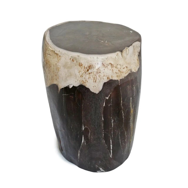 Vintage Petrified Wood Stump Side Table For Sale - Image 4 of 8