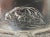 Antique Art Nouveau Pewter Platter With Hunting Dog Motif For Sale - Image 4 of 9