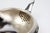 Silver-Plated Metal Teapot from Christofle, France, 1950s For Sale - Image 12 of 14