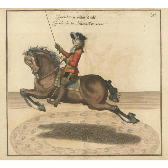 Baroque William Cavendish, Dressage Capriole Engraving after Newcastle, 1700, Engraving For Sale - Image 3 of 13