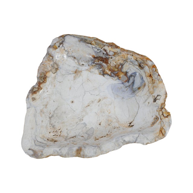 Jasper Bowl by Xyleia Petrified Wood For Sale - Image 4 of 5