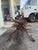 George Dell Inc Twisted Wrought Iron Tree Branch Dining Table Unsigned For Sale In Miami - Image 6 of 15