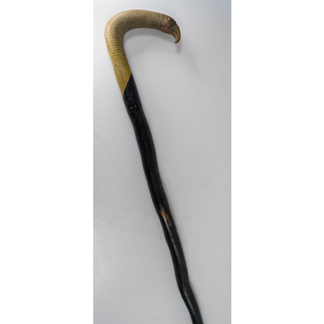 19th Century American Folk Art Carved Bird Eagle Head Cane or Walking Stick For Sale - Image 13 of 18