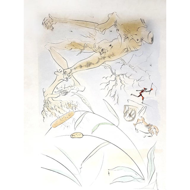 Salvador Dali - The Oak and the Reed - Signed Engraving 1974 For Sale - Image 10 of 13