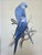 This vintage 1988 limited edition print titled “Spix’s Macaw (Cyanopsitta spixii)” by Eric Peake captures one of the...