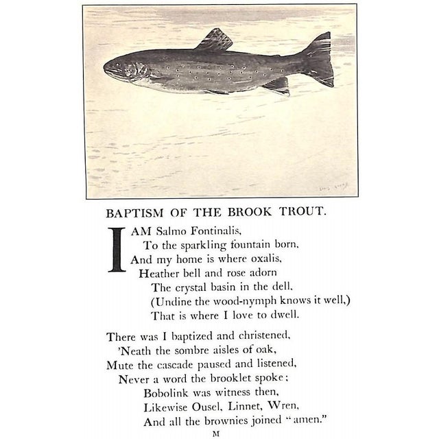 "The Speckled Brook Trout" 1902 Rhead, Louis For Sale - Image 4 of 12