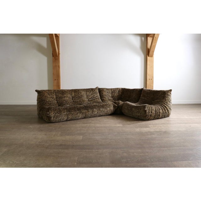 Liberty Special Edition Togo Sofa by Michel Ducaroy for Ligne Roset, 1979, Set of 3 For Sale - Image 12 of 12