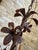 Vintage Italian Tôle Chandelier With Rustic Metal Leaves and Floral Motifs Accented With Crystals, 6 Lights For Sale - Image 10 of 12