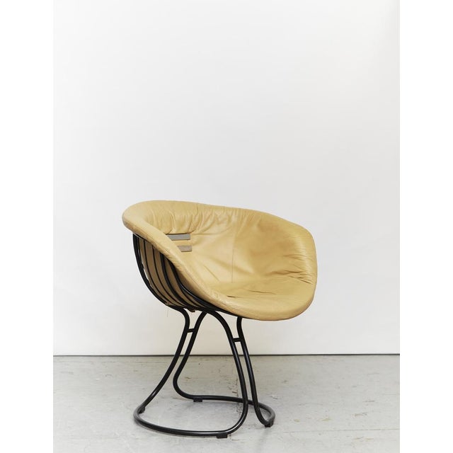 Pan Am Chair by Gastone Rinaldi, 1970s, Set of 4 For Sale - Image 10 of 14