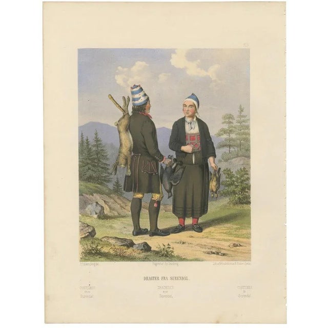 Traditional Dress from Surendal, 1800s For Sale - Image 10 of 10