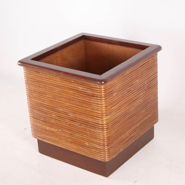Light Yellow Vintage Rattan and Wood Planter, 1970s For Sale - Image 8 of 13