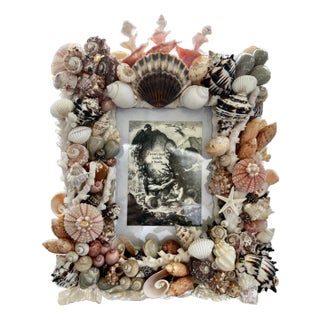 CSS Seashell Photo Frame For Sale