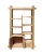 Rustic Raw Wood Open Shelf Bookcase For Sale - Image 4 of 5