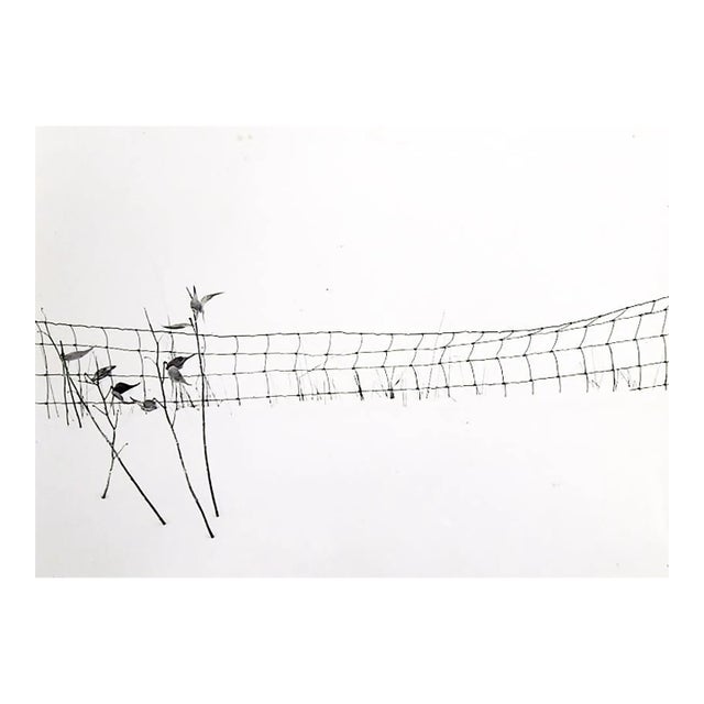 Late 20th Century Photograph Wire Fence in Snow For Sale