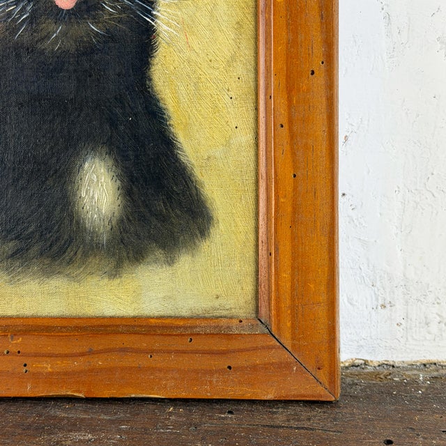 Cat Portrait, 1920s, Oil Painting on Panel, Framed For Sale - Image 9 of 14