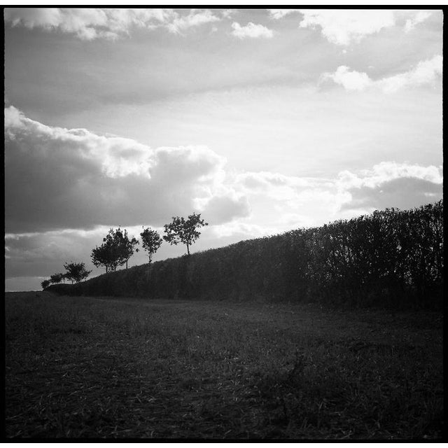 Not Yet Made - Made To Order Paul Cooklin, Hedgerow, Edition of 50 For Sale - Image 5 of 5