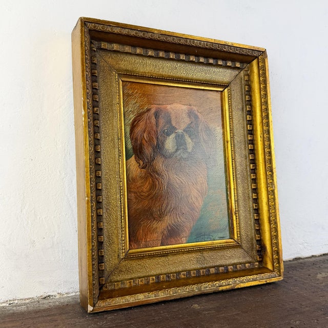 Pekingese Dog Portrait, Oil on Panel, 20th Century, Framed For Sale - Image 4 of 12
