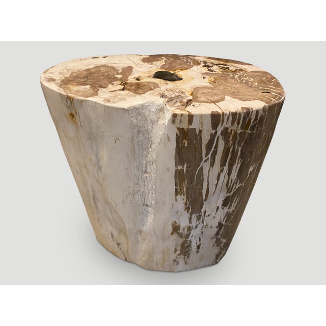Contemporary Andrianna Shamaris Ancient Petrified Wood Side Table For Sale - Image 3 of 6