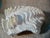 Shell Ruffled Clamshell, Large, With Coral Color For Sale - Image 7 of 14