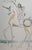 ARTIST: Salvador Dali TITLE: Licone et Gangaride MEDIUM: Etching SIGNED: Hand Signed by Salvador Dali EDITION NUMBER:...