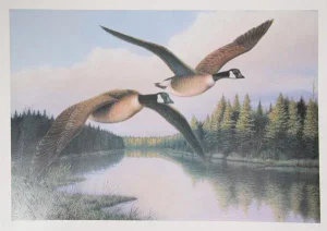 Snow Geese, Pat McManus Screen Print